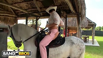 Rachel Starr'S Impressive Horse Riding Skills